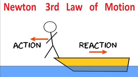 Newton's Third Law Lesson Plans & Worksheets | Lesson Planet